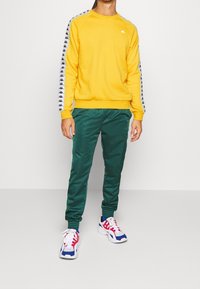 Persona che indossa un felpa gialla con strisce bianche e nere sulle maniche, pantaloni da jogging verdi e scarpe bianche con accenti rossi e blu.