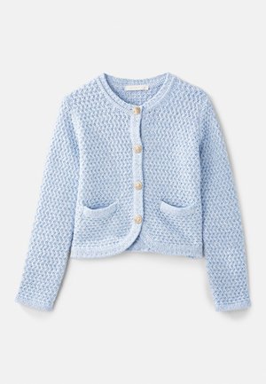 Vanessa Bruno DORINA - Cardigan - neptune