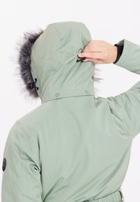 Whistler Overall - mint