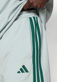 Αθλητικό παντελόνι ανοιχτού μπλε χρώματος με πράσινο σχέδιο τριών �ρίγων κατά μήκος της πλευράς και σκούρο πράσινο λογότυπο στον μηρό. Μαλακό, υφασμάτινο ύφασμα με υφή.