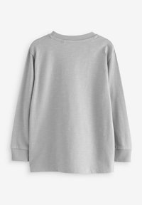 Langarmshirt aus hellgrauem Stoff. Mit rundem Ausschnitt und gerippten Bündchen. Weiche Textur mit glatter Oberfläche, ohne sichtbare Muster.