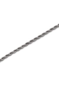Segmento di collana con catena a corda intrecciata in argento isolato su sfondo bianco, che mostra la texture collegata e la lucentezza dettagliata.