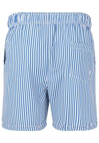 Shorts de bain avec un motif rayé vertical bleu et blanc. Ceinture élastique, une poche arrière et une texture de tissu léger.