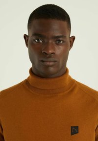 Maglione dolcevita marrone realizzato in tessuto morbido, con colletto e polsini a coste, e un piccolo logo nero sul petto sinistro.