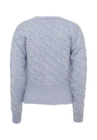 Maglione azzurro chiaro a lavorazione a treccia con un motivo testurizzato, orli e polsini a coste, e colletto rotondo. La vista sul retro mostra dettagli intricati della lavorazione.