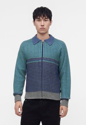 Ung mand iført en grøn og blå mønstret lynlås-sweater med blå krave og grå manchetter, stående mod en ensartet hvid baggrund.