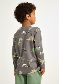 Grå tröja med långa ärmar och färgglada dinosaurieprint, med gröna, beige och vita färger. Mjukt tyg med rund halsringning och ledig passform.