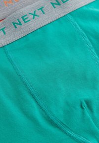 Next 7 PACK - Alushousut - muted tones
