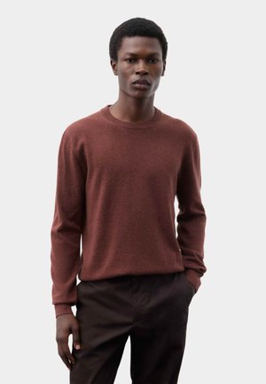 Mand står mod en ensfarvet baggrund, iført en brun langærmet sweater og mørke bukser, den ene hånd i lommen, vendt fremad.
