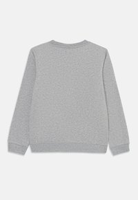 Siv bombažna sweatshirt s dolgimi rokavi, okroglim vratnim izrezom, rebrastimi manšetami in robom, ki se ponaša z gladko teksturo in minimalnimi detajli na hrbtu.