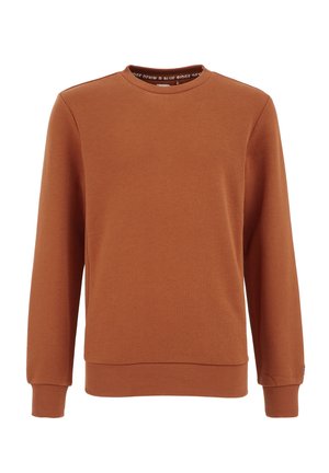 Bluza w kolorze rdzy z okrągłym dekoltem, długimi rękawami, ściągaczami na mankietach i na dole, wykonana z miękkiego materiału.