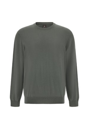 Suéter de cuello redondo de punto en verde oscuro. Manga larga con puños y dobladillo acanalados. Textura suave, diseño minimalista, sin patrones ni acentos visibles.