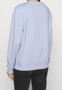 Sweatshirt bleu clair avec un col rond et des poignets côtelés. Présente une texture lisse et une coupe décontractée, avec un détail de couture subtil à l'arrière.