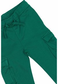 The New Siblings TNSTLEGEND - Kapsáče - alpine green