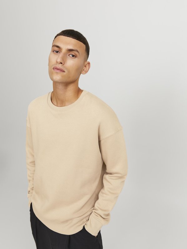 JJESTAR BASIC CREW NECK - Sweatshirt - beige3