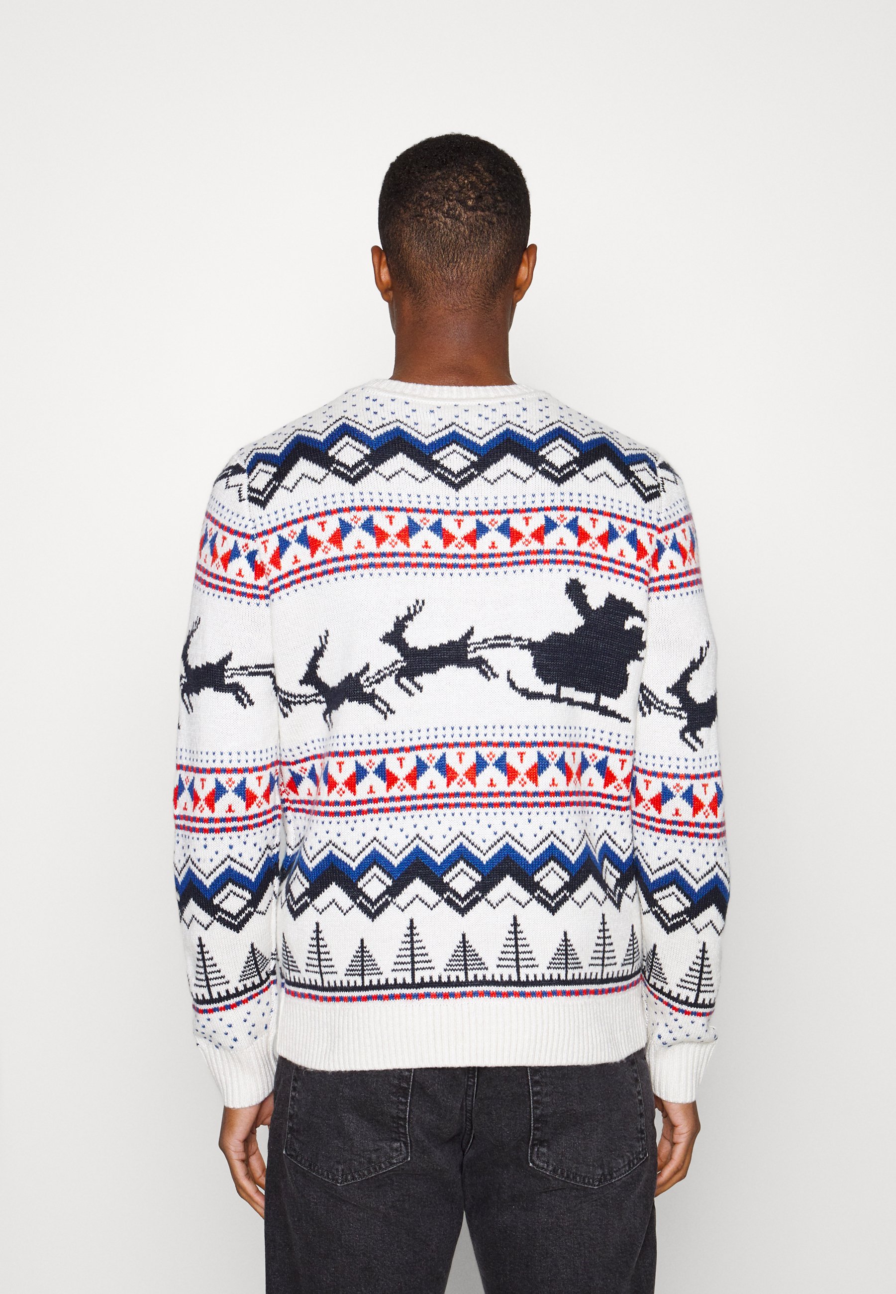 TOM TAILOR CHRISTMAS - Jumper - white 