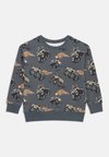 SWEATER MONSTER TRUCK - Bluză de molton - dark grey
