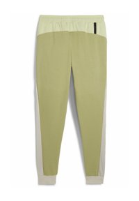 Puma TECH JOGGING - Treningo apatinė dalis - calming green