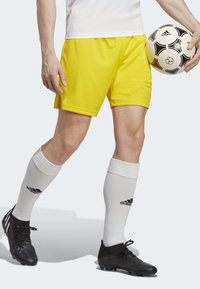 adidas Performance ENTRADA - Korte broeken - yellow