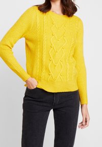Springfield Sweter