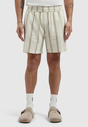 Male wearing light beige shorts with vertical green and gray stripes, white socks, beige slip-on shoes, standing against plain background.