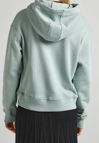 Felpa verde chiaro con cappuccio dalla vestibilità comoda, polsini e orlo a coste. Vista posteriore che mostra i dettagli delle cuciture e un tessuto morbido e strutturato.