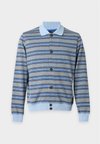CARDIGAN - Gilet - light blue