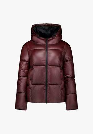 Cars Jeans, JAS KYKY - Winterjas - burgundy
