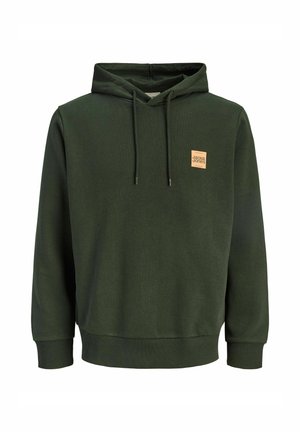 Green hoodie featuring a drawstring hood, ribbed cuffs, and a small square logo patch on the chest. Made from soft, textured fabric.