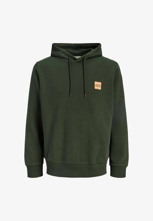 Green hoodie featuring a drawstring hood, ribbed cuffs, and a small square logo patch on the chest. Made from soft, textured fabric.