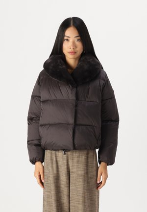 Save the duck MIREILLE - Winter jacket - brown black