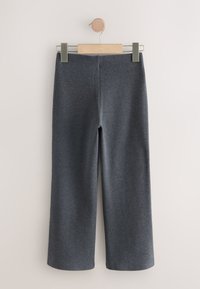 Hallid, laiade säärega püksid, mis on valmistatud pehmest ja venivast kangast. Omavad puhtaid jooni, elastset vööd ning puuduvad täiendavad kaunistused.