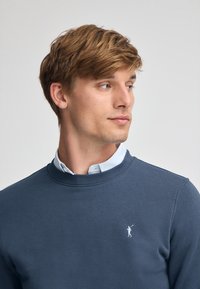 Mörkblå bomullssweatshirt med rund halsringning, prydd med en liten vit logotyp. Bar över en ljusblå randig skjorta med krage.