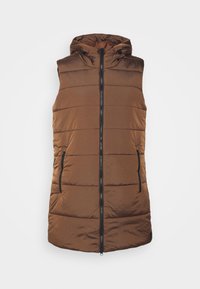 Jack Wolfskin Vesta - brown