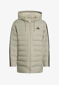 Nevybráno, silver pebble