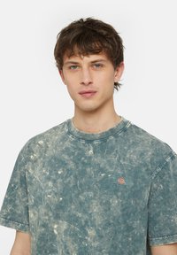 Dickies NEWINGTON TEE - Camiseta estampada - dble dye acd fr