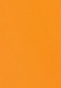 Seidensticker REGULAR - Bluse - orange