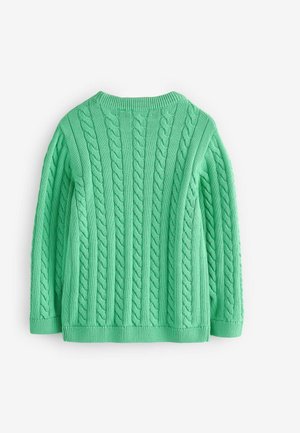 Groene kabelgebreide trui met een ronde halslijn en ribbelmanchetten. De textuur is verhoogd met een opvallend kabelpatroon overal.