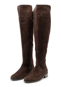 Stivali alti sopra il ginocchio in suede marrone con suola piatta, cerniera laterale e texture liscia. Presentano una punta arrotondata e un gambale alto e aderente.