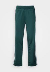 FIREBIRD  - Tracksuit bottoms - mineral green