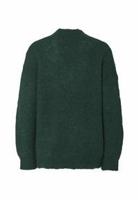 Tumši zaļš, adīta savai, ar garām piedurknēm, noapaļotu kakla izgriezumu un mīkstu tekstūru. Pakaļējā daļa ir ar vienkāršu dizainu bez dekoriem.