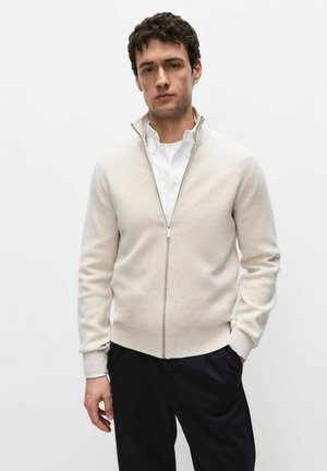 Mand iført en beige lynlåstrøje over en hvid skjorte med knapper og sorte bukser, stående mod en ensfarvet hvid baggrund.