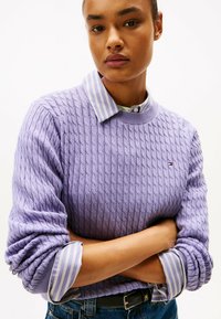 Lila sweter z dzianiny w splot kabli z prążkowanym okrągłym dekoltem, nałożony na zieloną koszulę z kołnierzykiem w fioletowe paski. Widoczne logo na piersi.