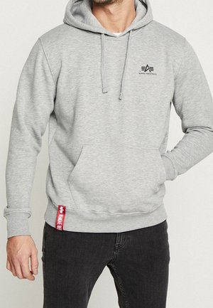 Hoodie - light grey
