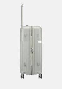 RV Roncato TROLLEY MEDIO - Trolley - grigio perla