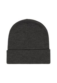 Dark gray knit beanie hat with a folded cuff, displayed on a white background.