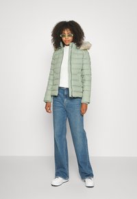 Tommy Jeans BASIC HOODED JACKET - Winter jacket - dusty sage