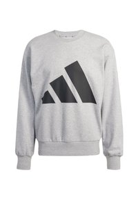 Gray sweatshirt made of soft material with long sleeves, ribbed cuffs, and waistband. Features a large black logo design on the front.