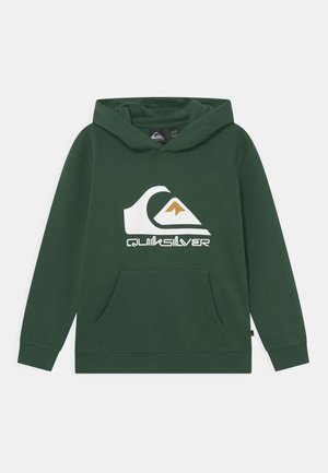 BIG LOGO EDMORE YOUTH - Sudadera - pine