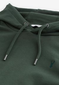 Next RICH - Sweat à capuche - green
